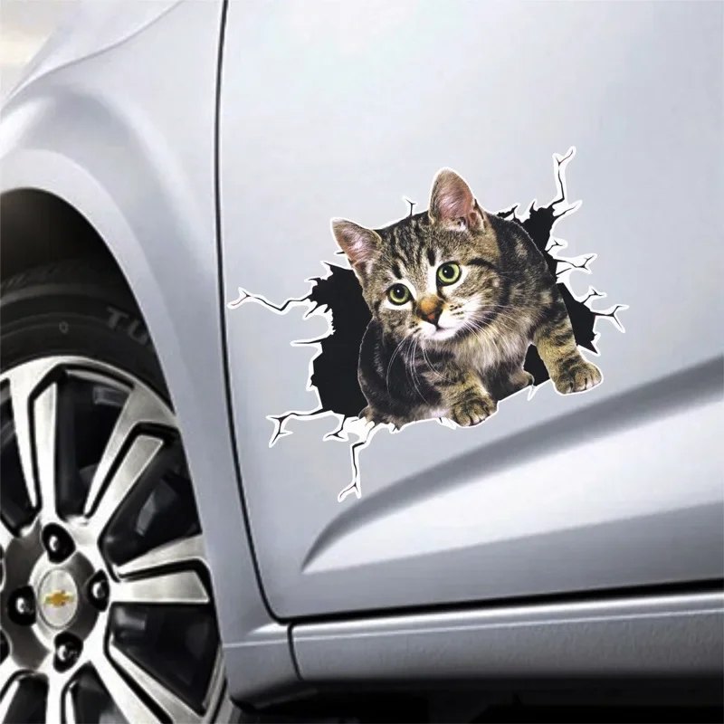 3D Printing Car - 3D Simulation of Cute Cats Peeking