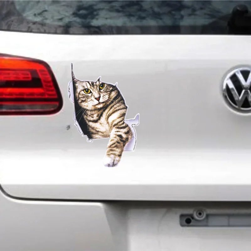 3D Simulation of Cute Cats Pee - 3D Printing Car incelemesi ve fiyatı